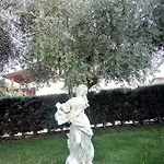 Hotel Oceano